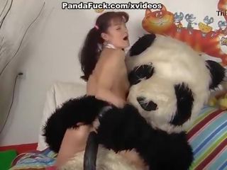 Kaakit-akit anak na babae fucks may mahalay panda oso